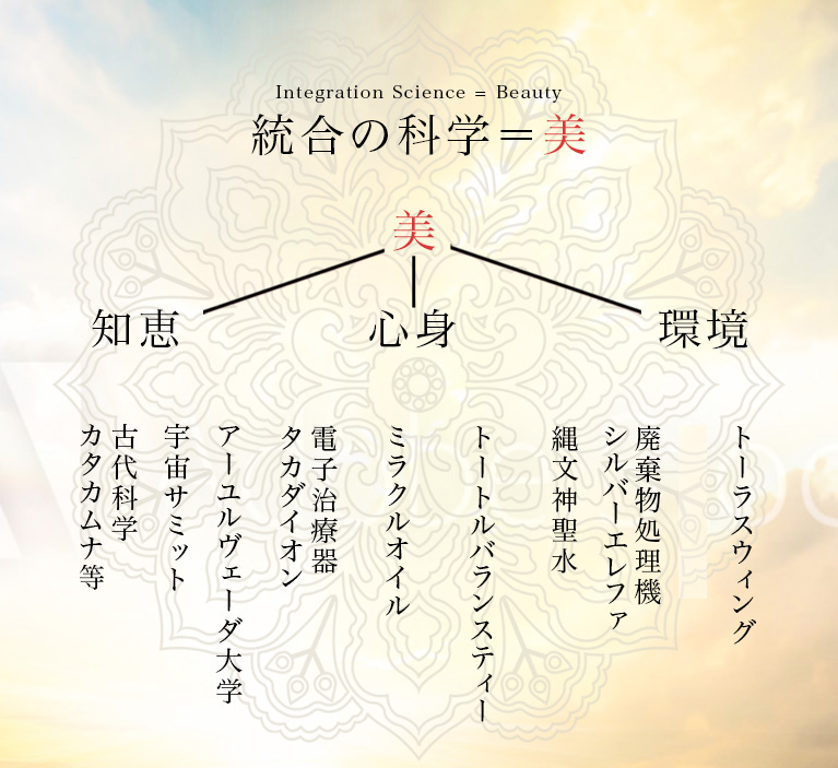 統合の科学＝美